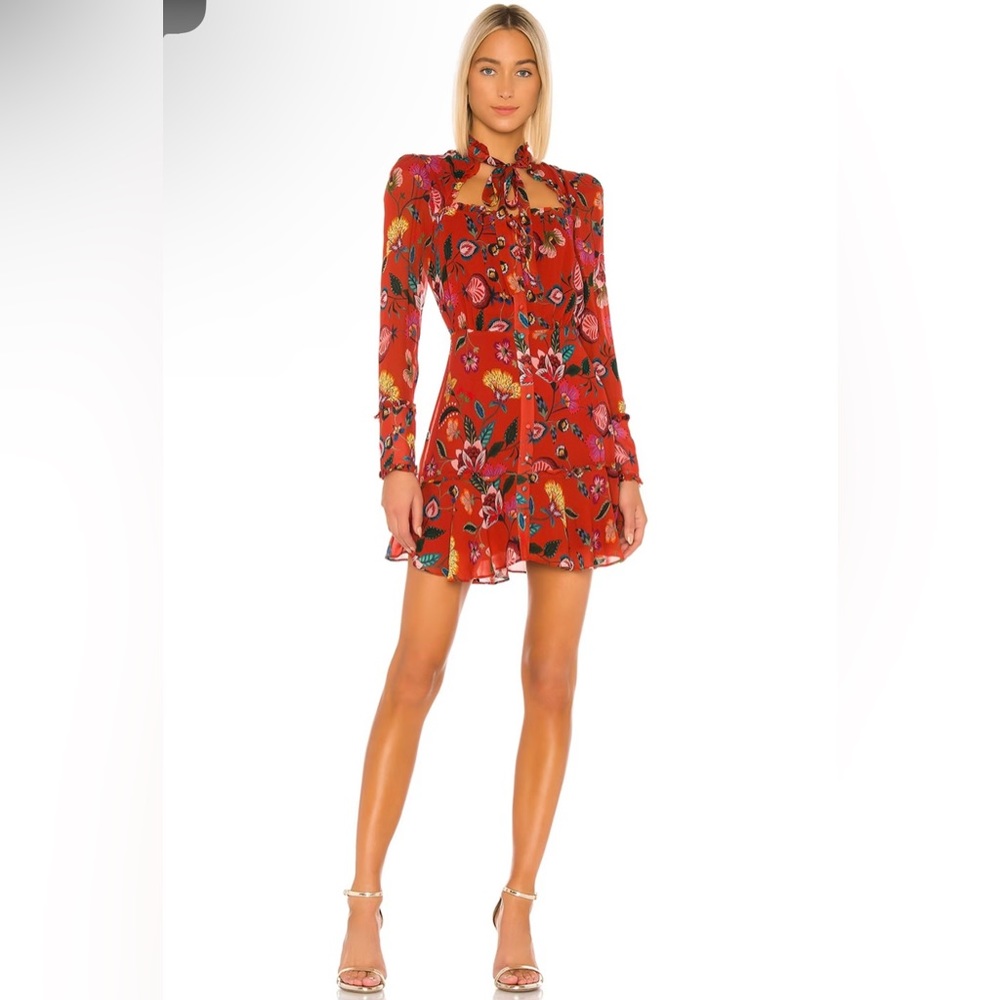 Only worn 5 times. Floral print mini Alexis dress